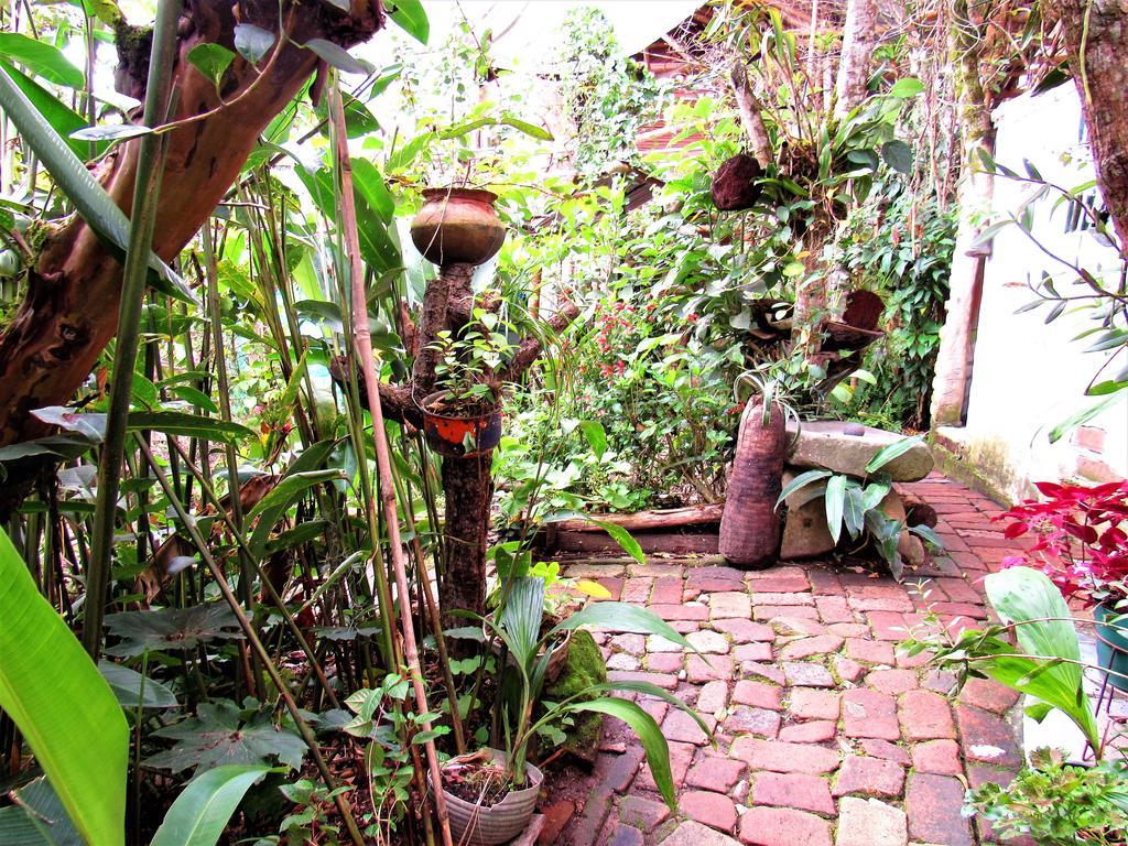 Hotel Casa Tarzan San Agustin San Agustín Exterior foto